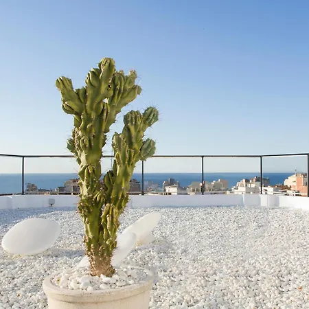 Hotel Alegria Plaza Paris 4*sup Lloret de Mar